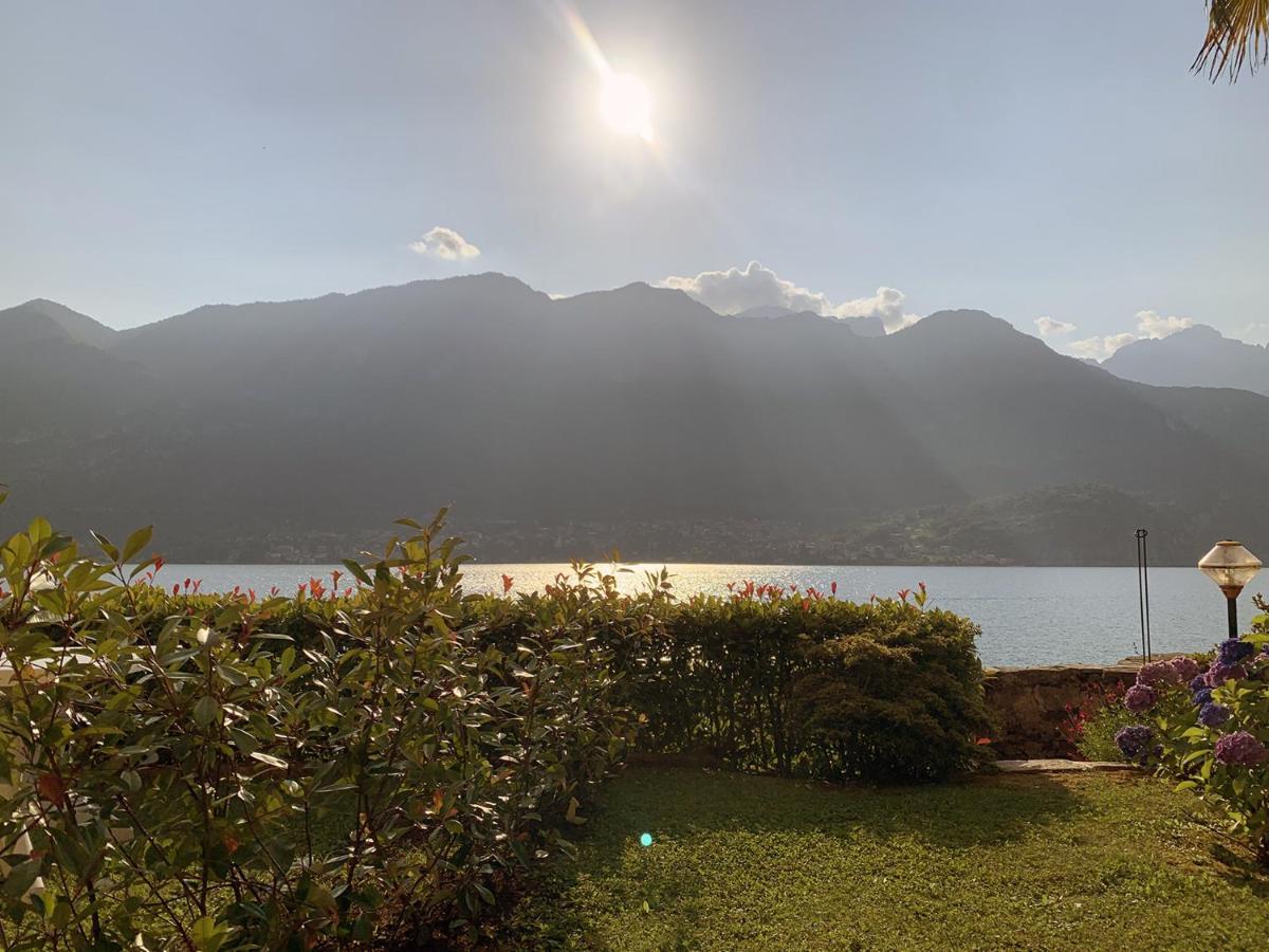 Terrace On The Lake Leilighet Oliveto Lario Eksteriør bilde