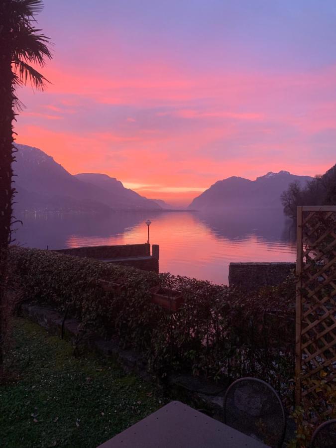 Terrace On The Lake Leilighet Oliveto Lario Eksteriør bilde